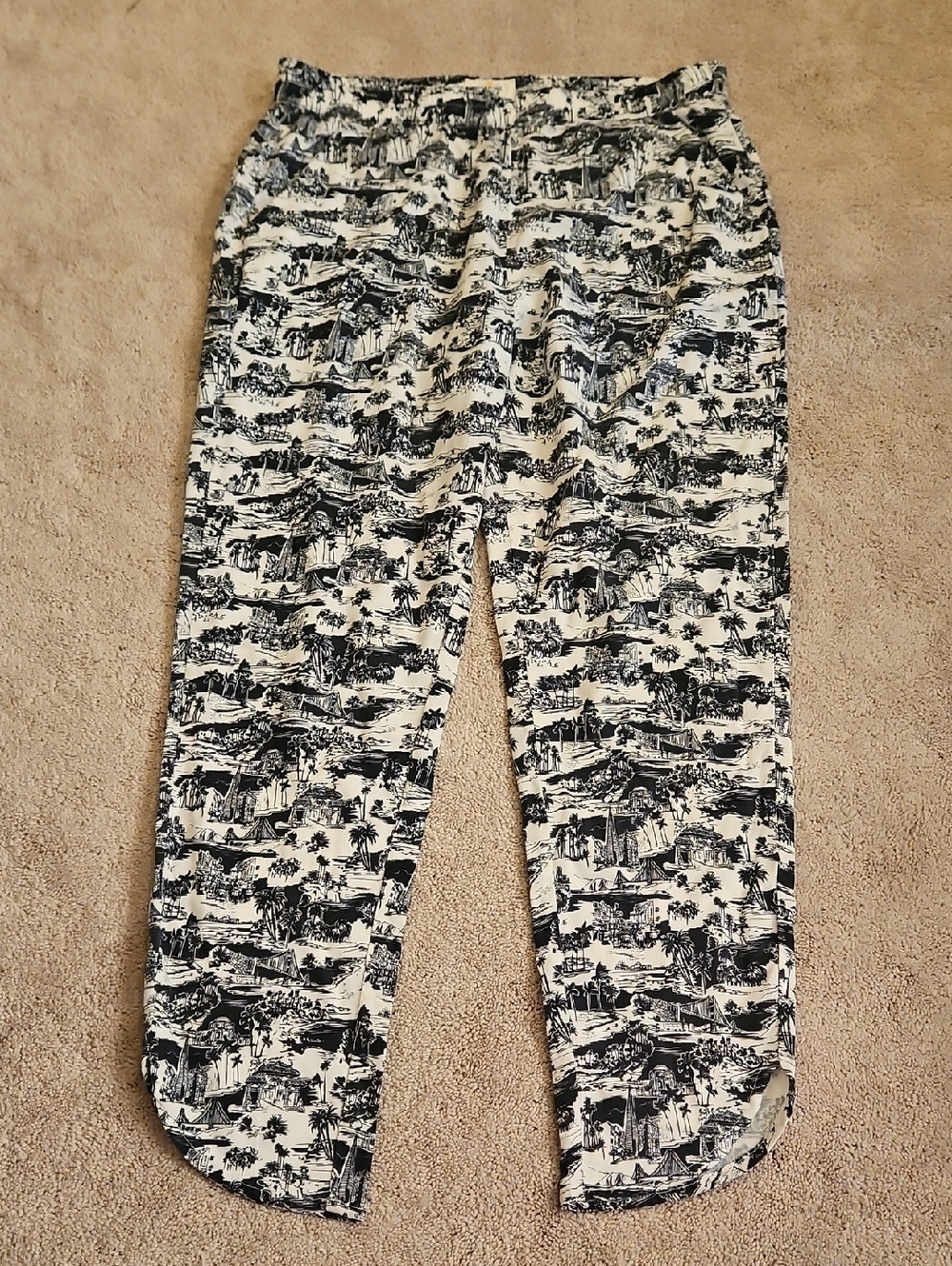 Marine Layer Black and White Scenic Print Pants